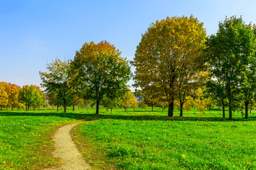 Fototapeta premium Autumn Park with Path and Trees on Grass