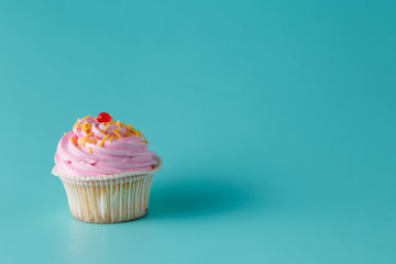 One colorful cupcake