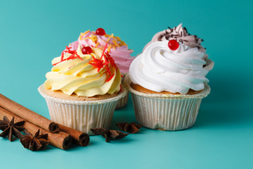 colorful pink cupcake on aquamarine background