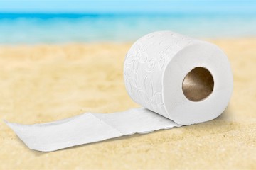 Toilet Paper.