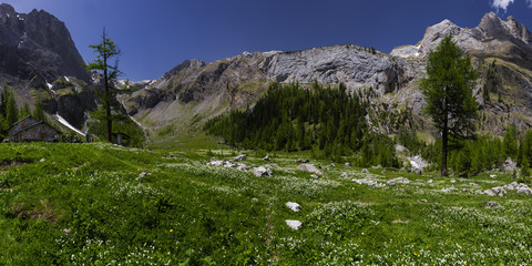 Bergalm im Schweizer Kanton Wallis