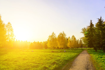 Naklejka premium Autumn Park with Pathway