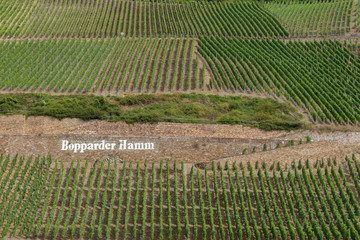 Fototapeta na wymiar Beautiful Patterns created by Vineyards on slopes of Bopparder Hamm over the Rhine Valley, Germany
