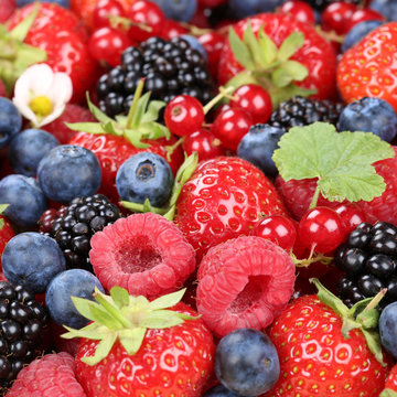 Beeren Früchte im Sommer mit Erdbeeren, Himbeeren und Blaubeere