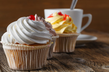 Colored cupcake on rustic background