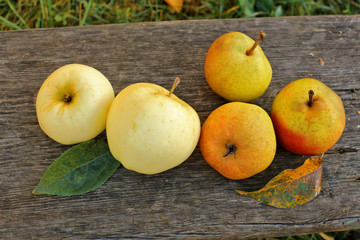 Apples, pears on wooden background 