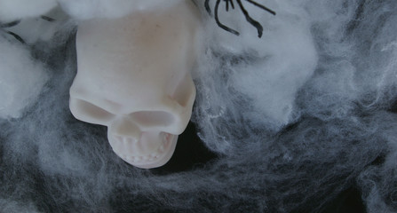 Fake skull with spiderwebs