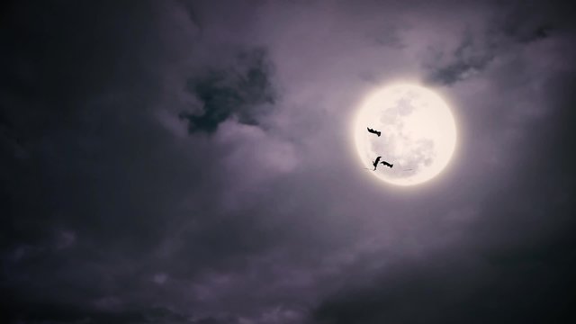 Flying bats on a moonlit night