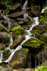 Fototapeta na wymiar Mountain stream spring