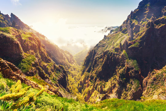 Mountains landscape