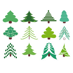 Obraz premium Collection of fir trees.