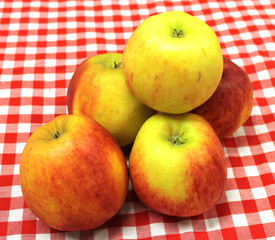 pommes elstar