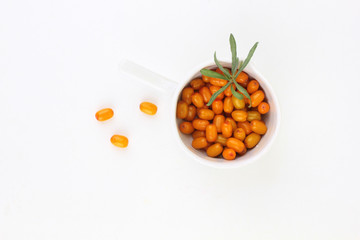 Sea-buckthorn berries in white bowl on a white background. (Hippophae rhamnoides) 