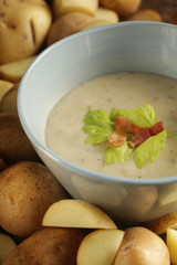Close up of a potato soup in a pale blue bowl surrounded by potatoes