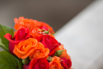 Two wedding rings