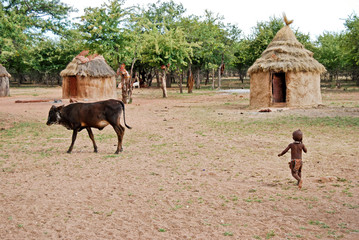 Himba village with traditional african huts and cow near Etosha National Park in Namibia, Africa