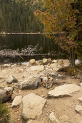 mountain lake in the woods