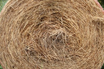 Strohballen