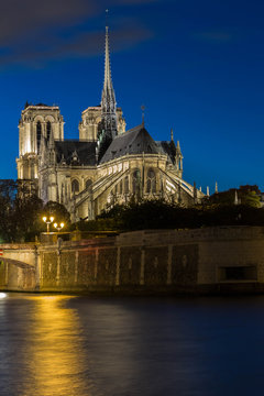 The cathedral Notre Dame at night , Paris, France.