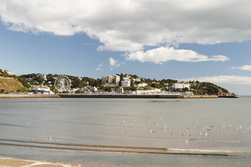 Torquay Harbour with the town in the background