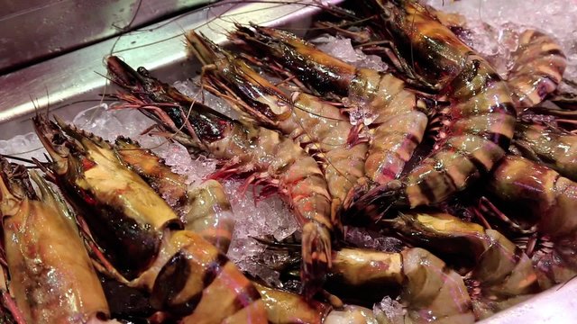 Lobsters and marine products