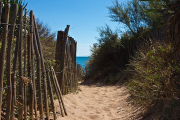 Strandzugang zum Serignan Plage 5