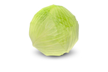 Fototapeta premium Ein Weißkohl, isoliert