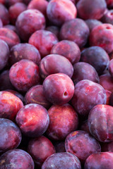Fresh ripe red plums