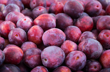 Fresh ripe red plums