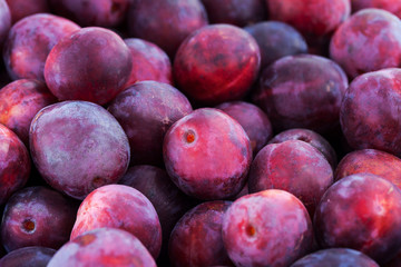 Fresh ripe red plums