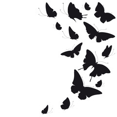 butterflies design