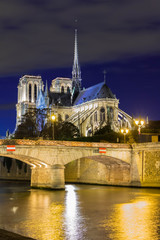 Fototapeta na wymiar The cathedral Notre Dame at night , Paris, France.