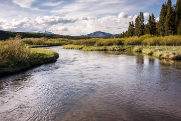 Yellowstone Back Country Trout Stream