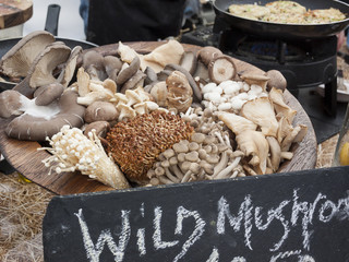 Wild mushrooms
