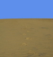 Footprints on Sand Dune