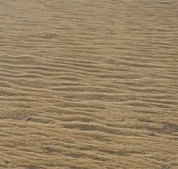Wind Drifted Sand