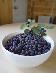 Saskatoon Berries