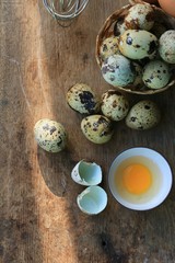 Quail eggs