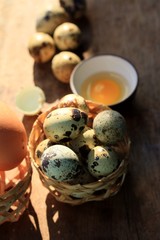 Quail eggs