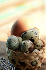 Quail eggs