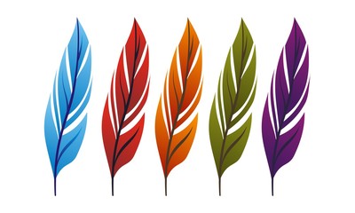 Feather Vector