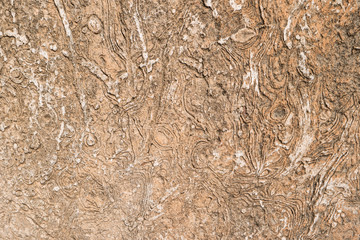 Old cement wall