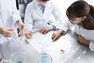 Women are studying in the laboratory of the University