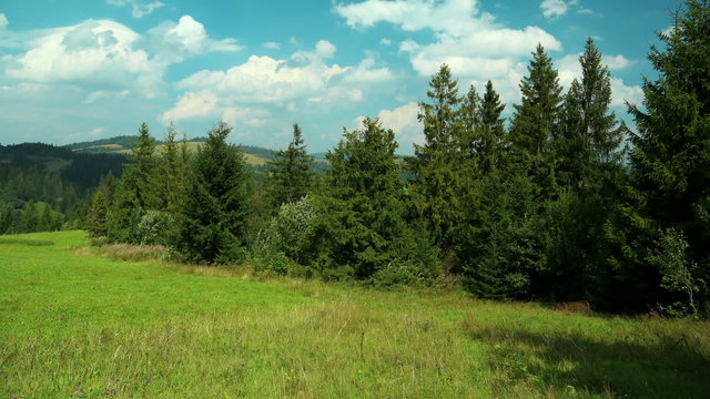 Time lapse of clouds and beautiful green trees