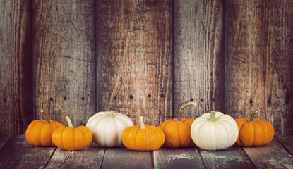 Mini pumpkins in a row against rustic wooden background - obrazy, fototapety, plakaty
