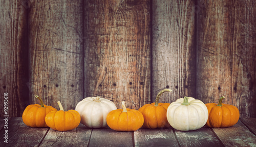Mini pumpkins in a row against rustic wooden background