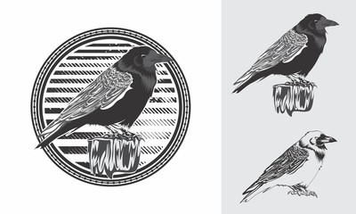 Raven