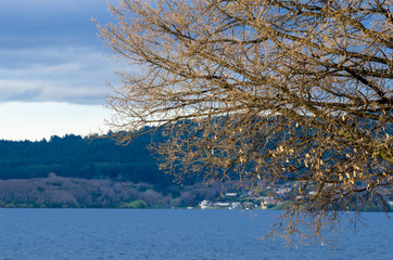 Lake Taupo which is located at Auckland,New Zealand.