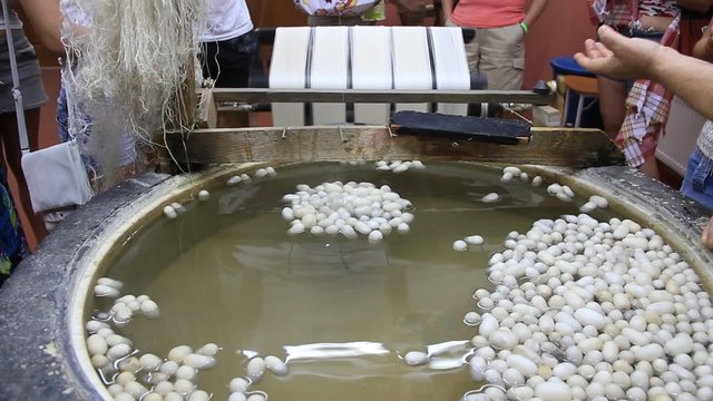 Silkworm cocoon on silk mill. Silk-reeling establishment