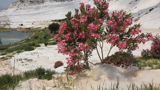 Pamukkale - cotton castle, Denizli Province in southwestern Turkey